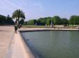  alignements d'arbres